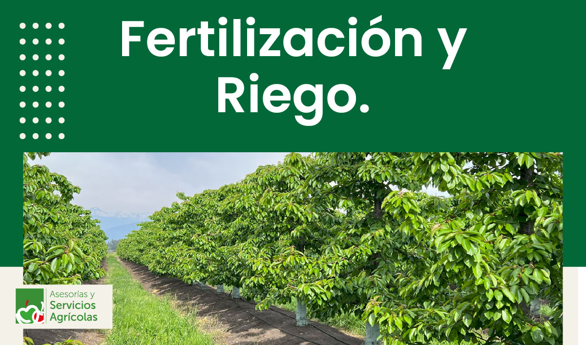Fertilización y Riego.