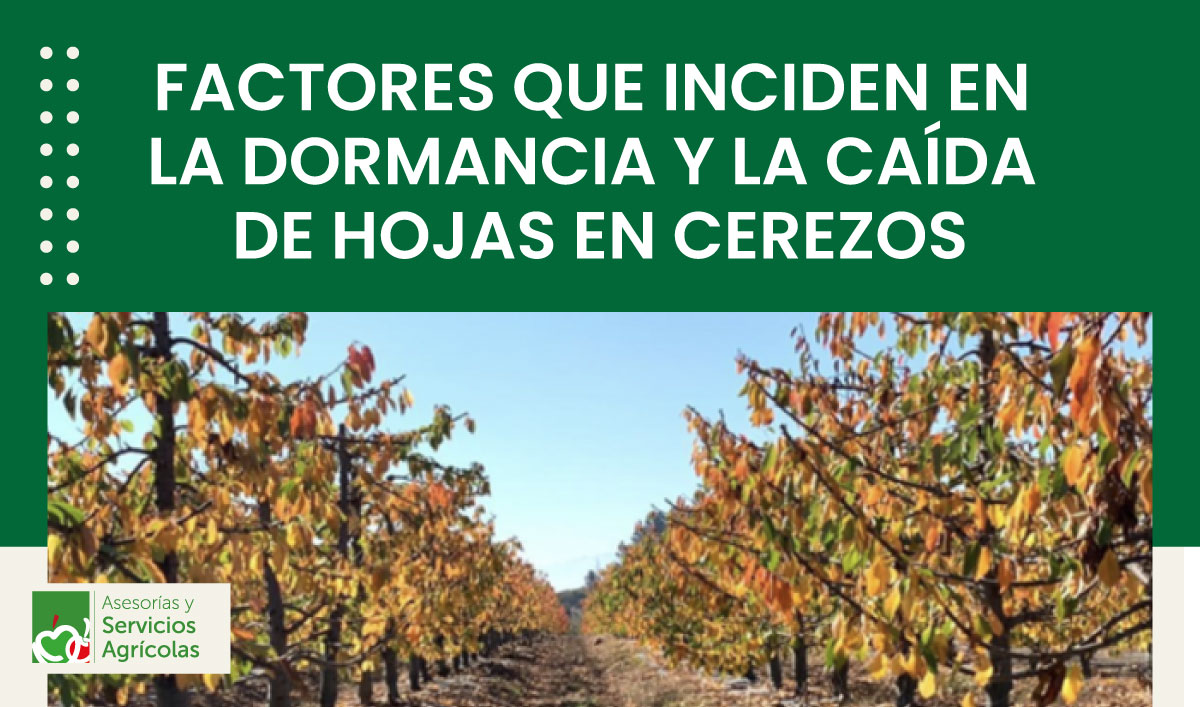 FACTORES QUE INCIDEN EN LA DORMANCIA Y LA CAÍDA DE HOJAS EN CEREZOS